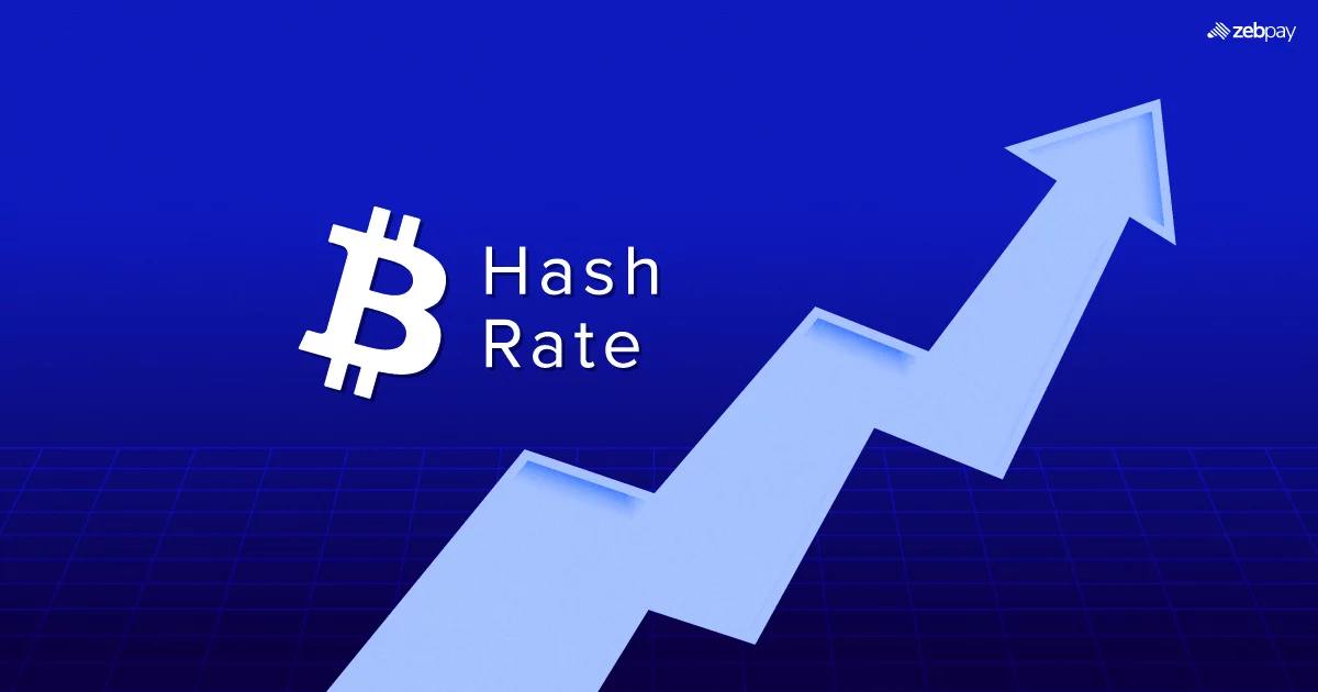 如果你不出售你的Hashrate，你就是在把采矿钱留在桌子上