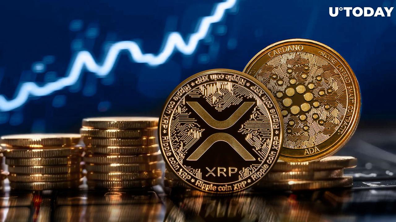 XRP和ADA面临阻力，而这个山寨币准备一个抛物线移动可能800%的反弹