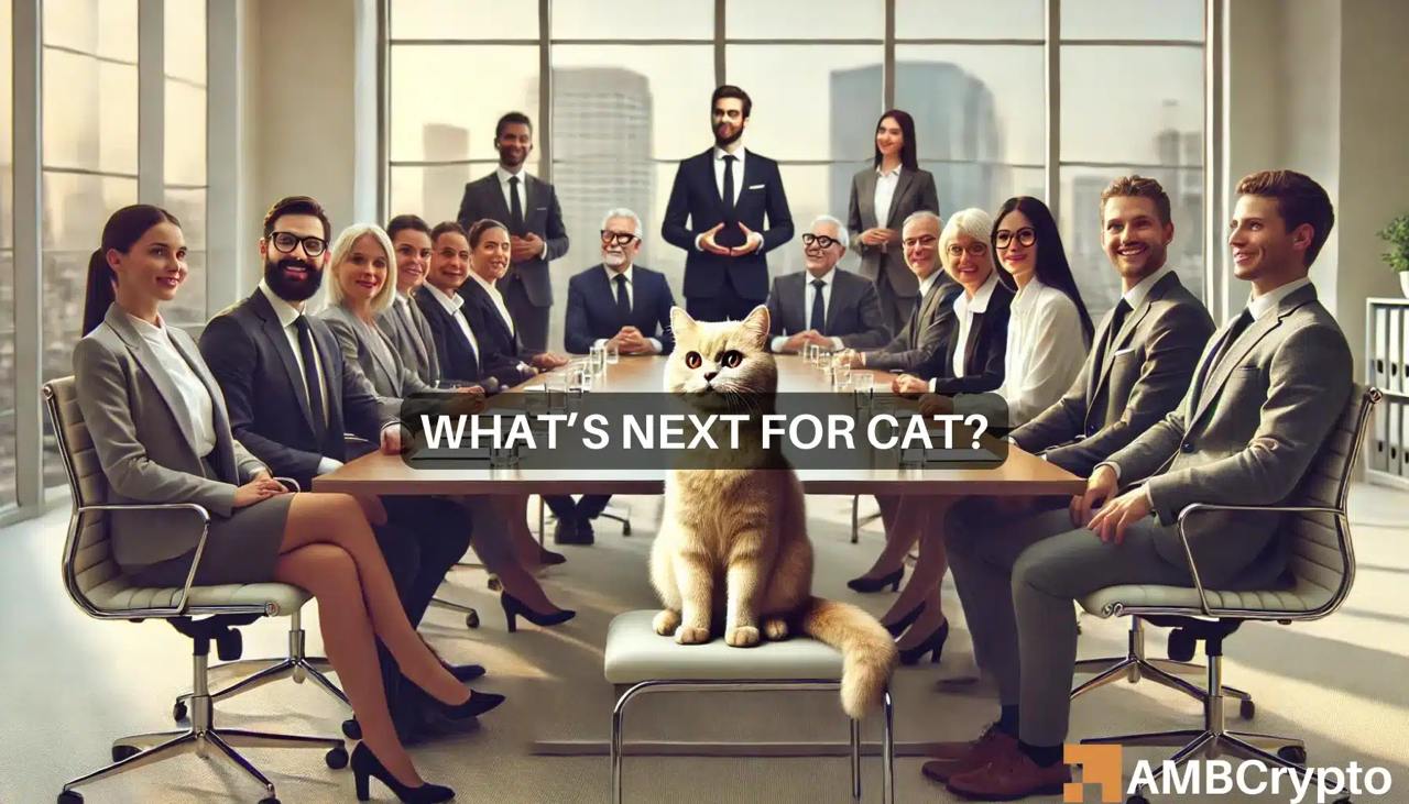 西蒙猫价格预测：多头能否在 ATH 之后重新夺回动力？