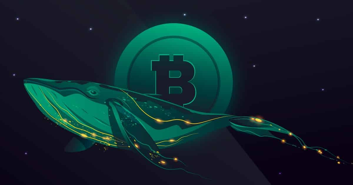 新的比特币鲸鱼持有 197 万枚比特币，这对 BTC 意味着什么？