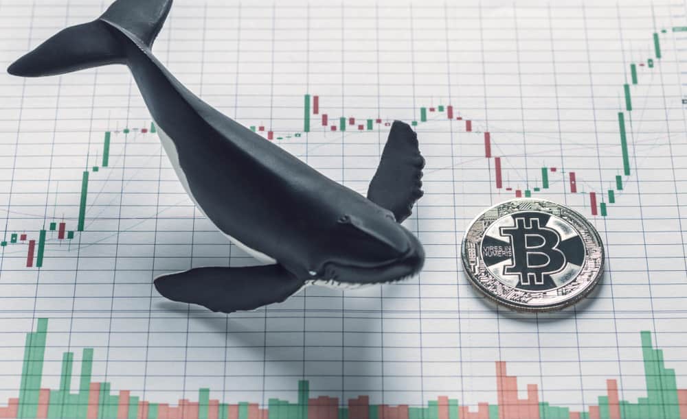 比特币巨头追捕内幕交易员的 4.3 亿美元 BTC 空头